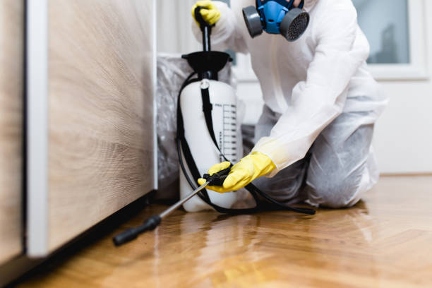 Best Ant Control Services  in Farwell, TX