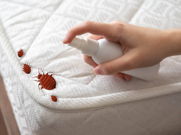 Pest Control Cost in Farwell, TX