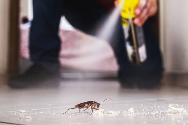 Best Exterminator Services  in Farwell, TX