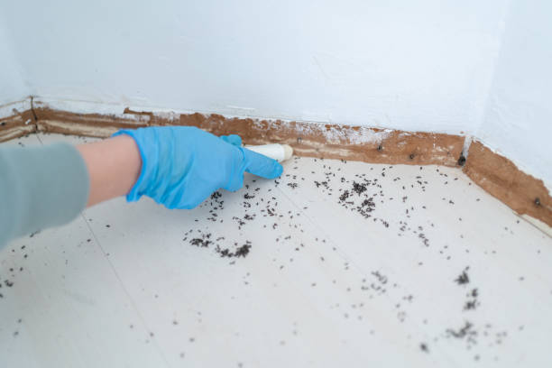 Best Commercial Pest Control Services  in Farwell, TX